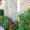 Отель The Zarcillo Paradise, фото 10