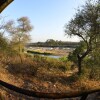 Отель Mtomeni Safari Camp, фото 7