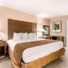 Отель Rodeway Inn & Suites Fort Lauderdale Airport & Cruise Port, фото 40