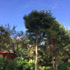 Отель Shivapuri Retreat, фото 5