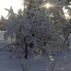 Отель Nolhyltan B&B, фото 10