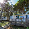 Отель Arena Medulin Mobile Homes, фото 1