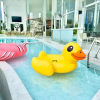 Отель Moose Hotel, фото 50