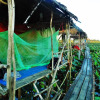 Отель Hai Lua Homestay (Lotus Lake Homestay), фото 12