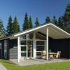 Отель Lalandia Resort Billund, фото 2