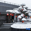 Отель Wyndham Grand Plaza Royale Hot Springs Fenghuang, фото 20