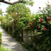 Отель Guesthouse Triantafyllies, фото 8