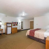 Отель Bearcat Inn and Suites, фото 34