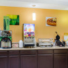 Отель Quality Inn & Suites Medina - Akron West, фото 11