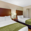 Отель Comfort Inn St Petersburg North, фото 38