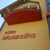 Отель Willa Muszelka Karwia, фото 3