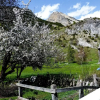 Отель Il Nido di Elda (few steps from skiing), фото 11