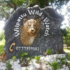 Отель Willpattu Wild Watch, фото 30