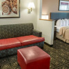 Отель Quality Inn & Suites, фото 14