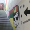 Отель Sweet Monkey Backpacker Hostel, фото 4