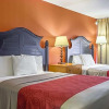 Отель Econo Lodge, фото 28
