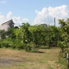 Отель Sanpatong Farm Stay, фото 7