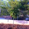 Отель House with One Bedroom in Anavissos, with Enclosed Garden And Wifi, фото 12