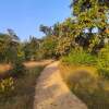 Отель Bagh Tola, Bandhavgarh, фото 25