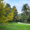 Отель Parco Termale di Villa Dei Cedri, фото 9
