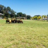 Отель Witzenberg Guest Farm, фото 27