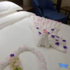 Отель Shangdong International Hotel, фото 15
