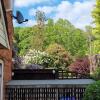 Отель Fab 2 Bed Cotswolds Cottage With Private Courtyard, фото 46