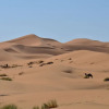 Отель Kasbah Erg Chebbi, фото 20