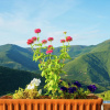 Отель Authentic Country House With Swimming Pool in Nature Park Montseny, фото 12