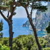 Отель Villa Lia Hotel Capri, фото 9
