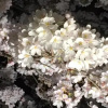 Отель Petit Hotel Alla Seta, фото 25