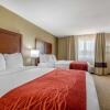 Отель Comfort Inn & Suites, фото 23