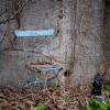 Отель Restaurant Schwert Thun, фото 11