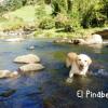 Отель El Pinabete Finca & Cabañas, фото 14