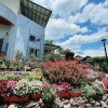 Отель Lusenb Leisure Villa, фото 3