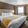 Отель Comfort Inn & Suites Market - Airport, фото 4
