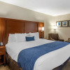 Отель Comfort Inn Nashville - Opryland Area, фото 5