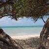 Отель Aruba Beach Villas, фото 15