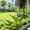 Отель Pousada Casa Paradiso, фото 14