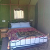 Отель Merzouga Camp Nomad, фото 4