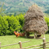 Отель Casa Rural Zigako Etxezuria, фото 14
