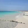 Отель Self Catering Holidays at Tortuga Beach Resort, фото 13