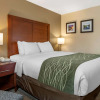 Отель Comfort Inn & Suites Diamondale – Lansing, фото 29