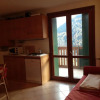 Отель Adamello Ski Appartament, фото 4