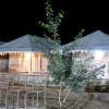 Отель Welcome Desert Camps, фото 35