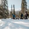 Отель Lapland Hotels Ylläskaltio в Экясломполо