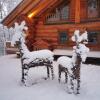 Отель Caledonian Cabin, фото 16