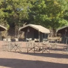 Отель Bush Baby Calls mobile camps, фото 1