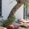 Отель Charming Villa With Indoor Swimming Pool, Near the Beach and Town Centre, фото 33