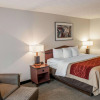 Отель Comfort Inn Indianapolis South I-65, фото 5